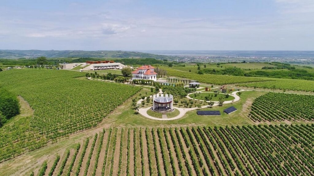 Visit Romanian Vineyards As a Tourist